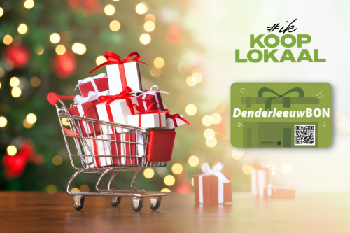 Op zoek naar een onvergetelijk eindejaarsgeschenk? Doe een Denderleeuwbon cadeau!